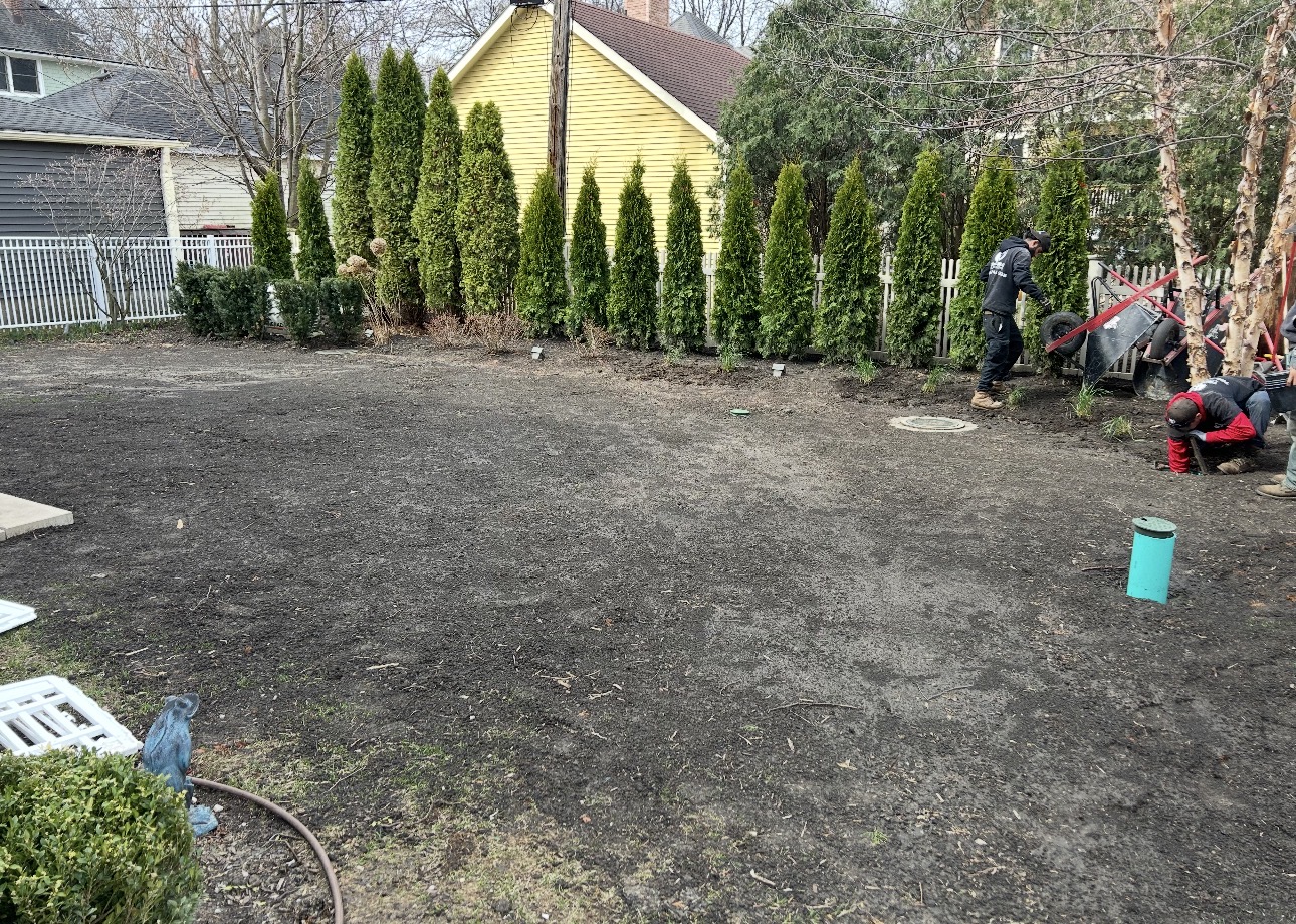 Tecalero Landscaping crew installing arborvitae privacy trees and planting beds